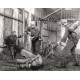A Town Like Alice war movie scene 8x10 photo signed by Virginia McKenna A Town Like Alice war movie scene 8x10 photo signed by Virginia McKenna
